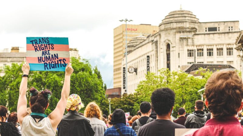 A trans rights protest, where someone holds a sign saying 'trans rights are human rights'