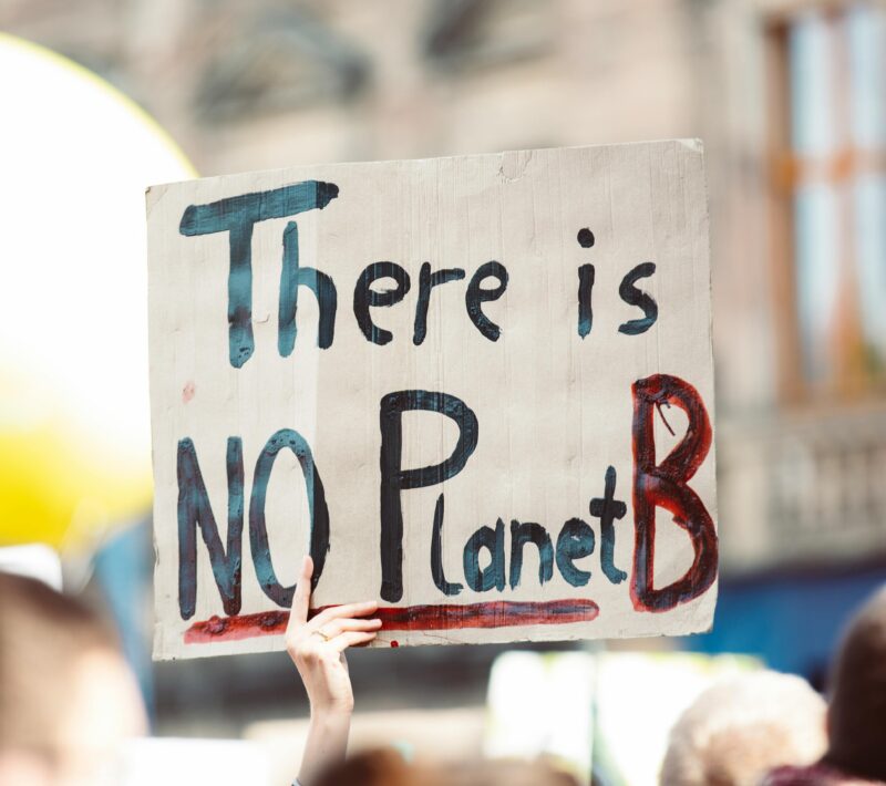 "There is no planet B" is written on a protest placard held up at a march